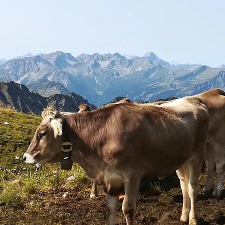 Im Steibis Allgaeu, Bayern Apartmán